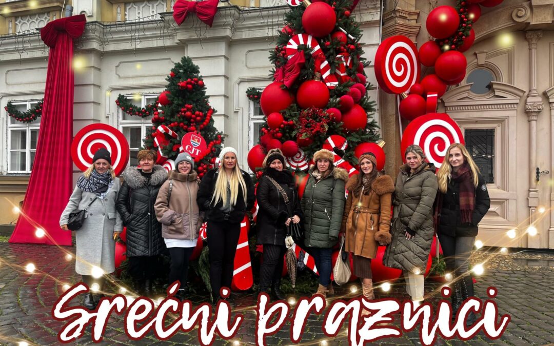 Посета Темишвару